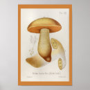 Suche nach orange gelb poster Vintag