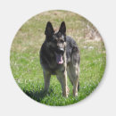 Suche nach deutsche magnete Gsd