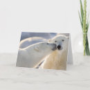 Suche nach hudson bay postkarten Tier