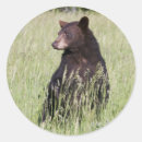 Suche nach schwarzbär aufkleber Tiere