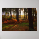 Suche nach brennend poster Herbst