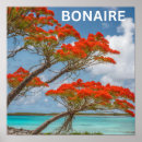 Suche nach bonaire poster Bonus