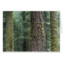 Suche nach altes wachstum postkarten Baum