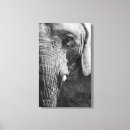 Suche nach spion kunst Auge