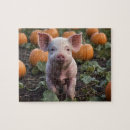 Suche nach pig puzzle Tier