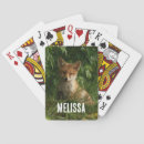 Suche nach fuchs spielzeug spiele Tierwelt