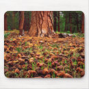Suche nach christopher mousepads Botanisch