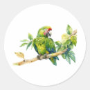Suche nach grüner papagei aufkleber Grünsittich