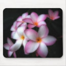 Suche nach frangipani mousepads Blume