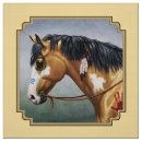 Suche nach pinto Western