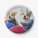 Suche nach corgi teller Party