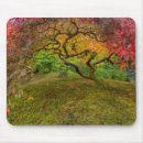 Suche nach ahornbaum mousepads Oregon
