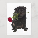 Suche nach mops liebe karten Vielen dank