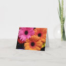 Suche nach fuchsien karten Orange