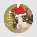 Suche nach katzenminze Weihnachten