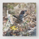 Suche nach wild bird wanduhren Wildlife