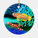 Suche nach krebstiere ornamente Garnele