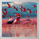 Suche nach auge gottes poster Judentum