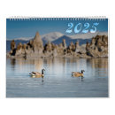 Suche nach flora kalender Vögel