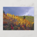 Suche nach utah herbst poster Logan canyon