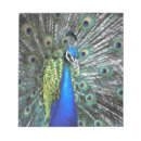 Suche nach federn notizblock Tier