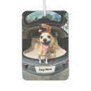 Suche nach augen autozubehör Hunde
