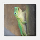Suche nach reptil magnete Tag