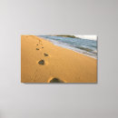 Suche nach kauai leinwandbilder Strand
