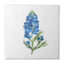 Suche nach lupine fliesen Texas