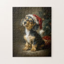 Suche nach dachshund puzzle Welpe