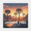 Suche nach joshua tree magnete California