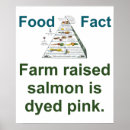 Suche nach lachs poster Rosa