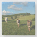 Suche nach esel untersetzer Bauernhof