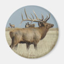 Suche nach elche magnete Jagd