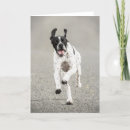 Suche nach zeigen karten Hund