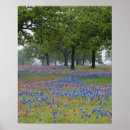 Suche nach roter baum poster Im freien