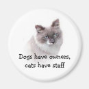 Suche nach eigentümer magnete Katzen