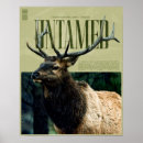 Suche nach banff national park poster Elch