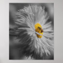 Suche nach bienen poster Für sie