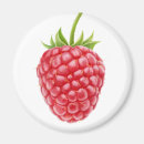 Suche nach himbeeren magnete Obst