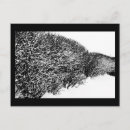 Suche nach hecke postkarten Schnee
