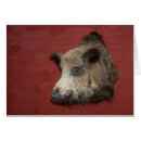 Suche nach wildschwein postkarten Jäger