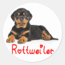 Suche nach rottweiler aufkleber Rotweiler