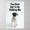Suche nach pug poster Pet