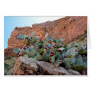 Suche nach stachelig postkarten Birne