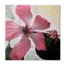 Suche nach exotische fliesen Rosa