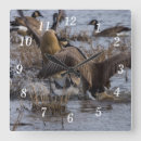 Suche nach gans wanduhren Natur