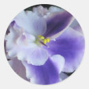 Suche nach veilchen aufkleber Blau