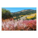 Suche nach rote bäume poster Landschaft
