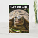 Suche nach belated birthday karten Schildkröte